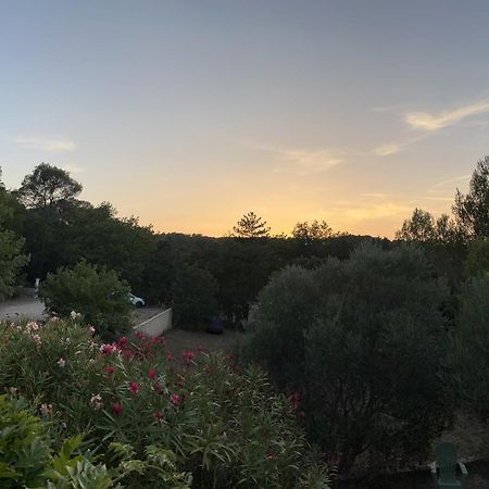 Natur & Jasmin Chambres D'Hotes Naturistes En Provence Lorgues Εξωτερικό φωτογραφία