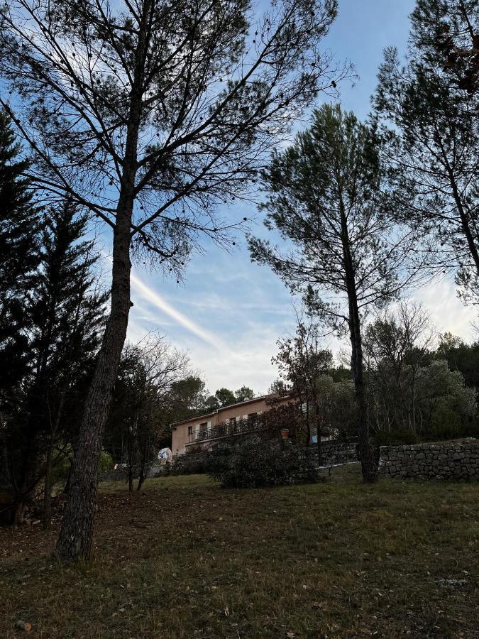 Natur & Jasmin Chambres D'Hotes Naturistes En Provence Lorgues Εξωτερικό φωτογραφία