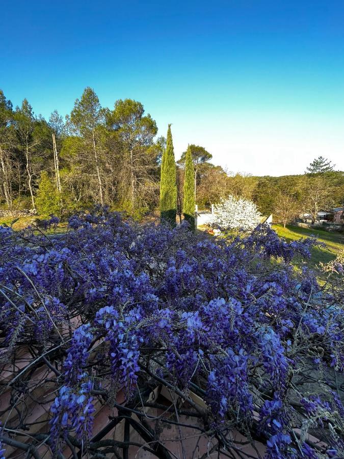 Natur & Jasmin Chambres D'Hotes Naturistes En Provence Lorgues Εξωτερικό φωτογραφία
