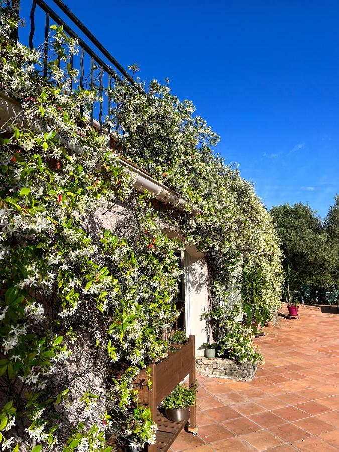 Natur & Jasmin Chambres D'Hotes Naturistes En Provence Lorgues Εξωτερικό φωτογραφία